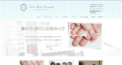 Desktop Screenshot of nailstudio-camelot.com