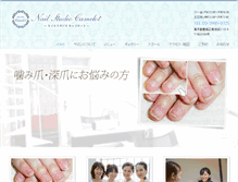 Tablet Screenshot of nailstudio-camelot.com